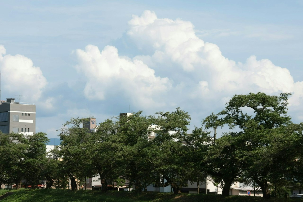 Photo by sugi0325