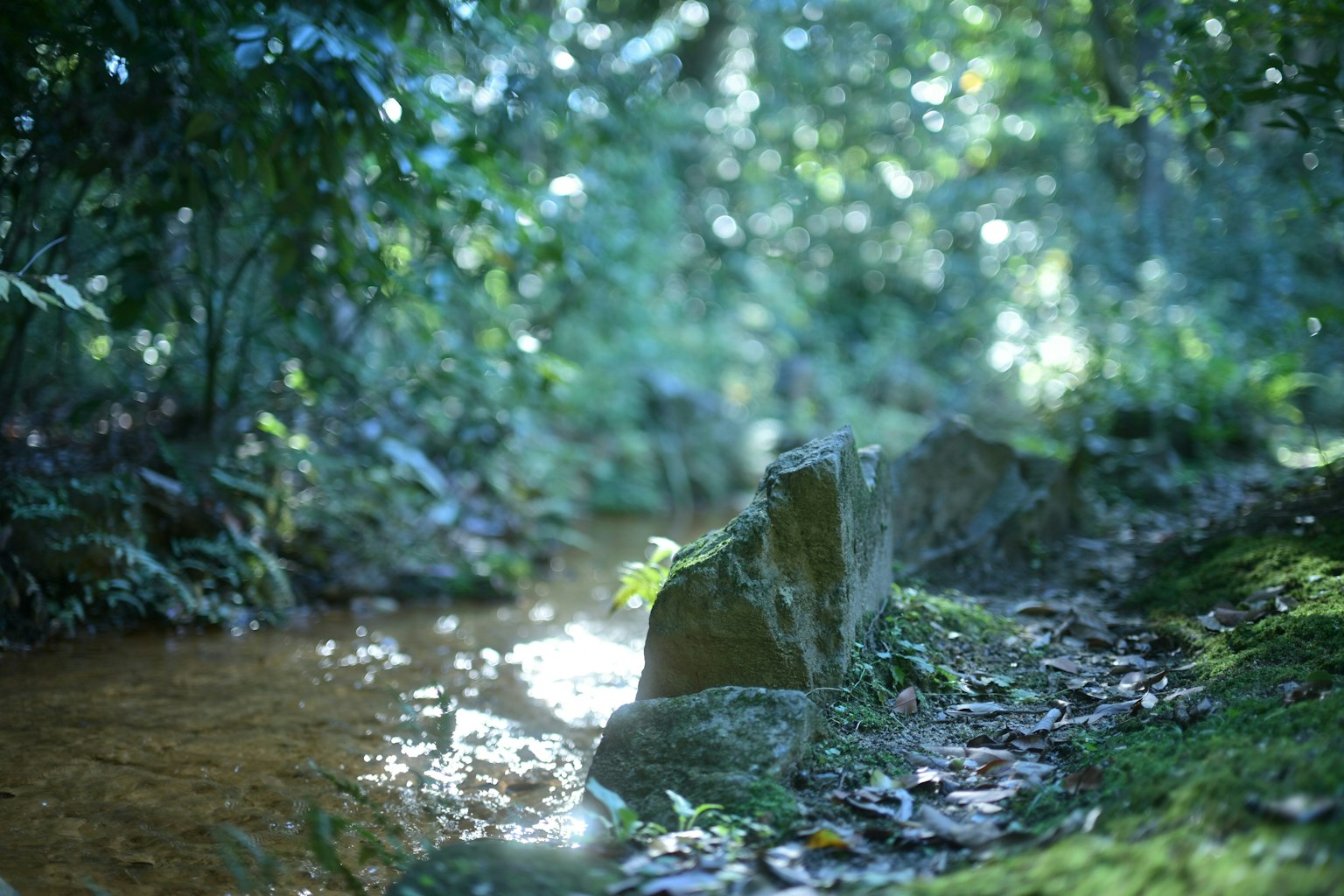 2025-06-masa-mist-light-afterglow-image-9