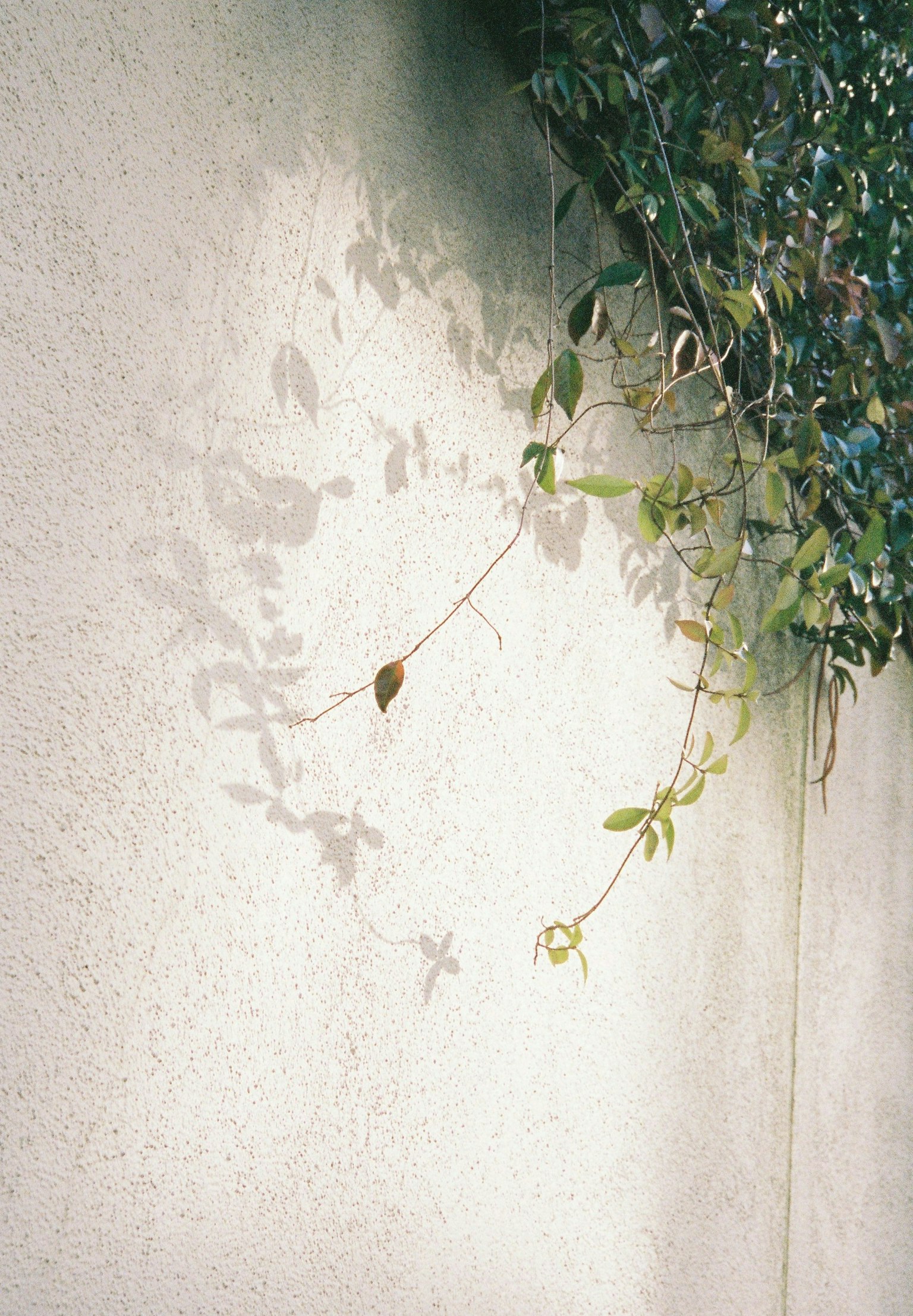 2025-11-autumn-is-film-image-4