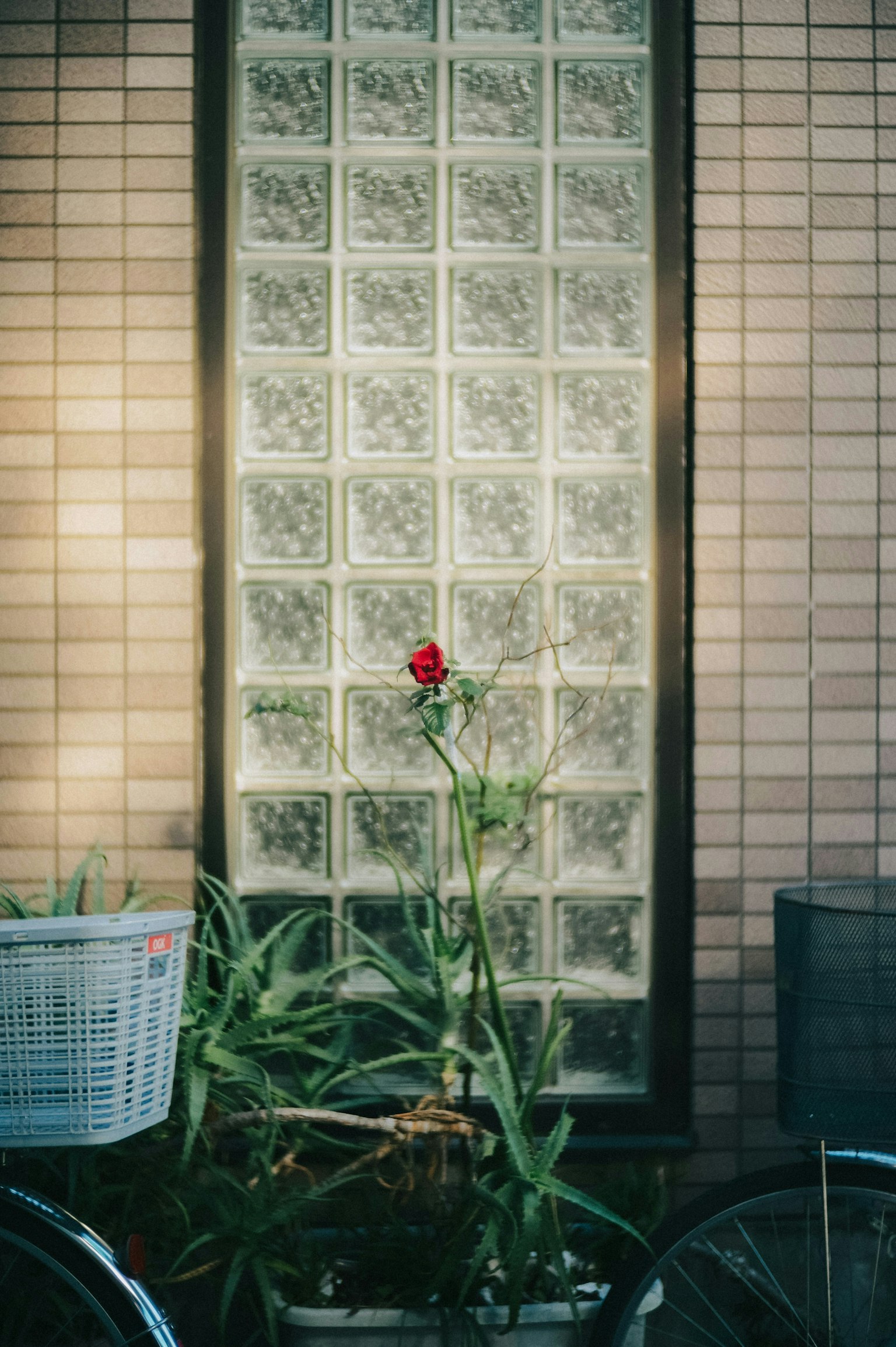 2025-12-one-block-enough-image-8