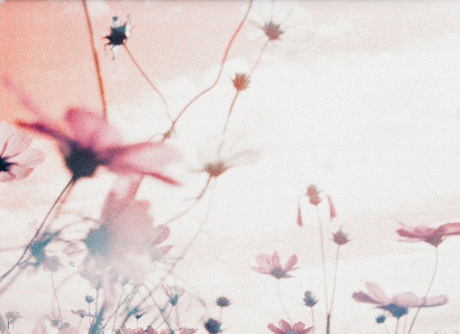 2024-06-film-tutorial-image-13