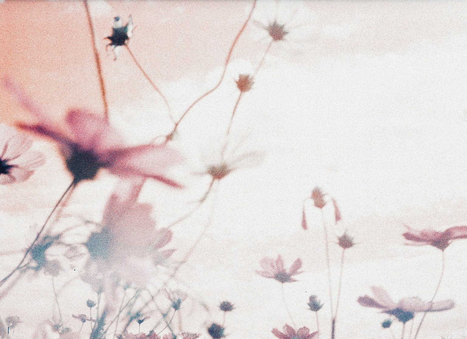 2024-06-film-tutorial-image-13