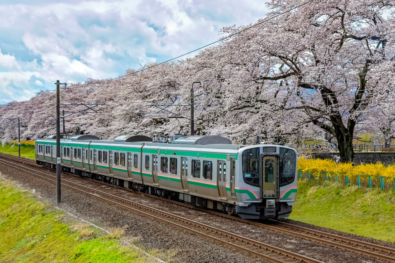 Chasing the Cherry Blossom Front: Exploring Spring Across Japan | Focus #57