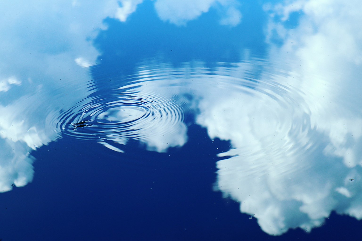 2024-07-july-diary-image-6