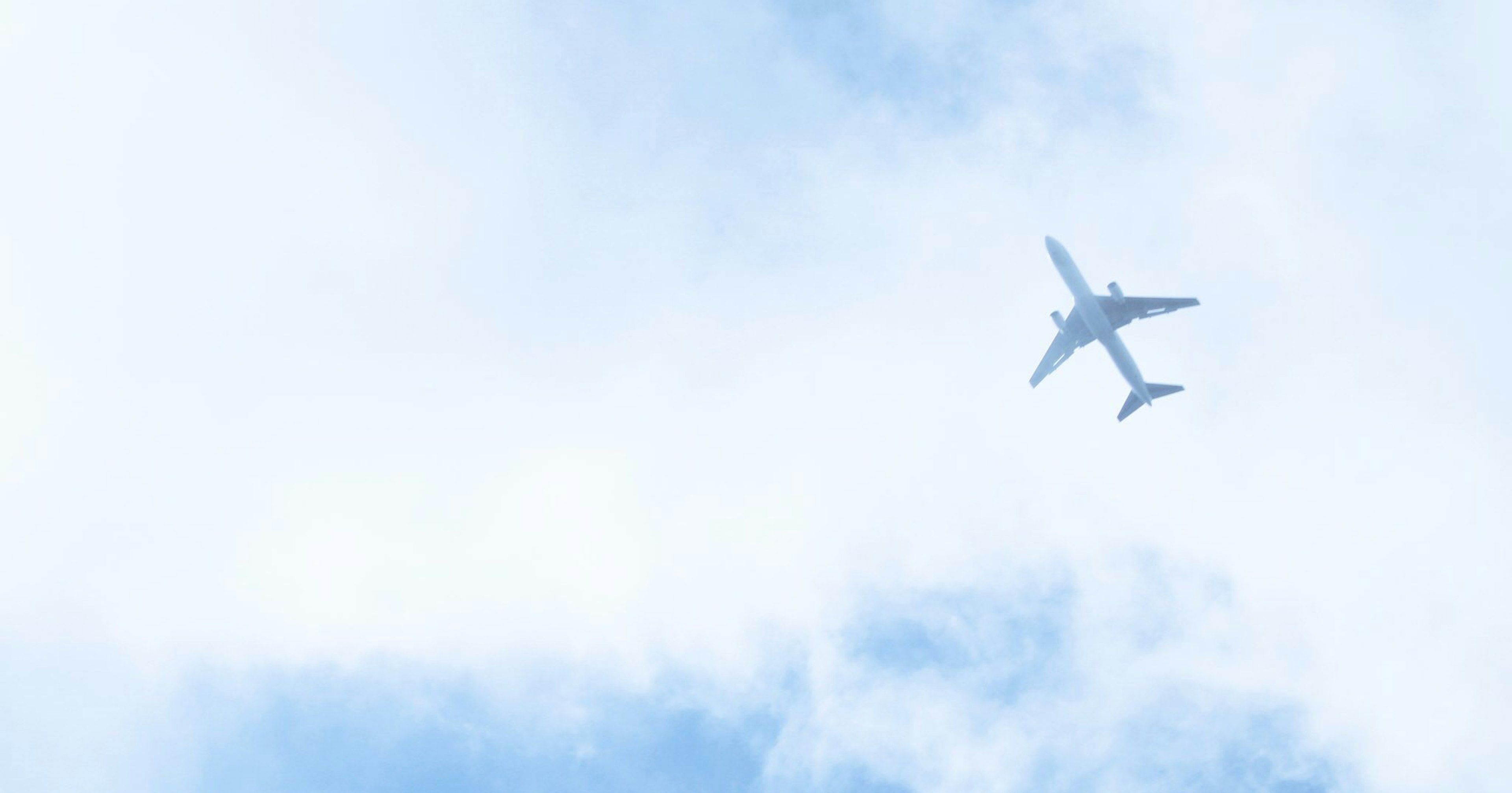 2024-09-ai-creative-future-cover-image