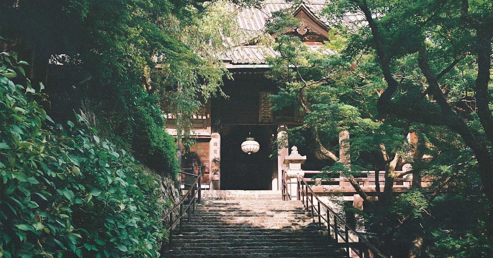 #Nara | Must-Visit Photography Spots | Focus #390