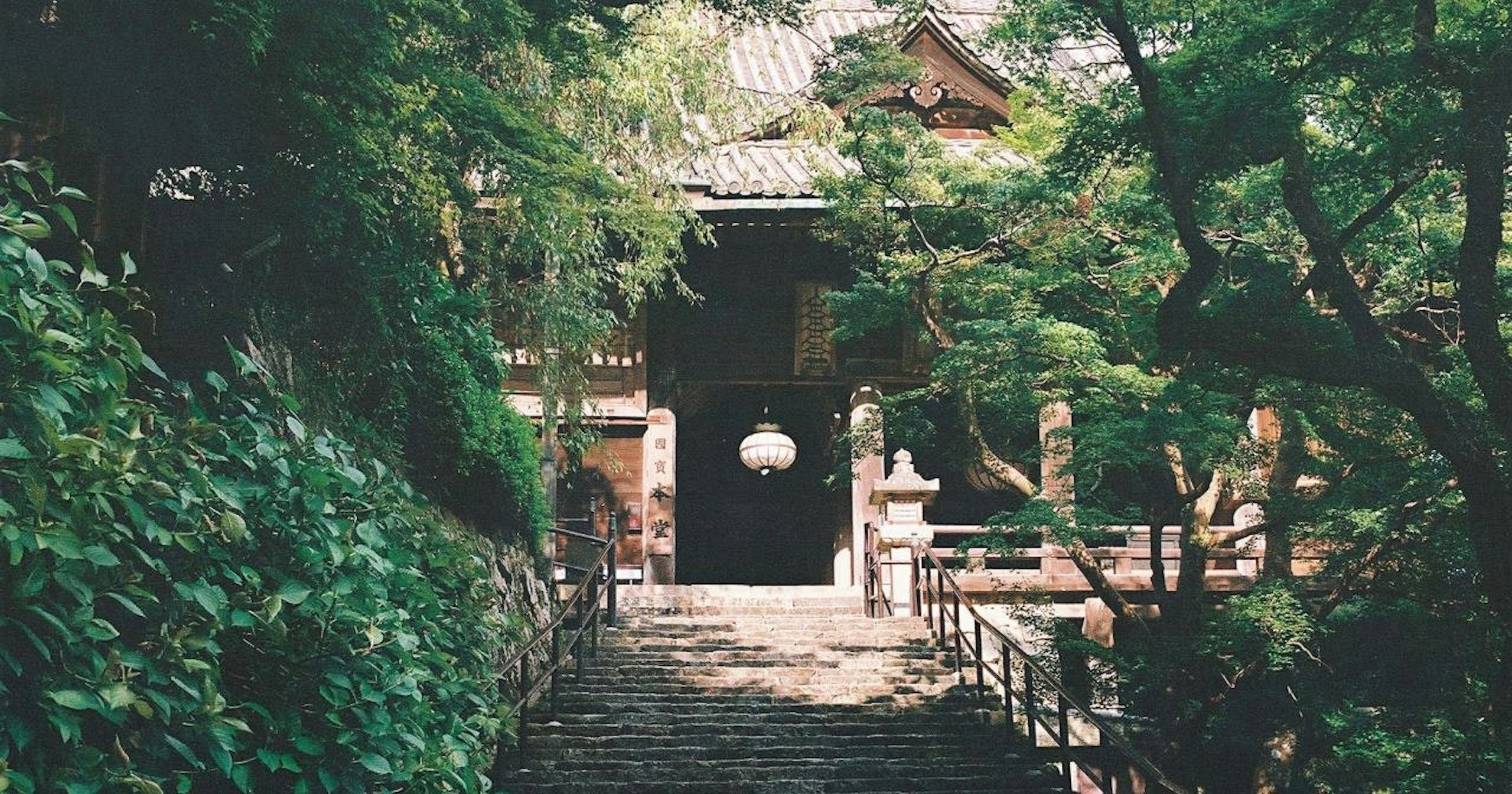 #Nara | Must-Visit Photography Spots | Focus #390