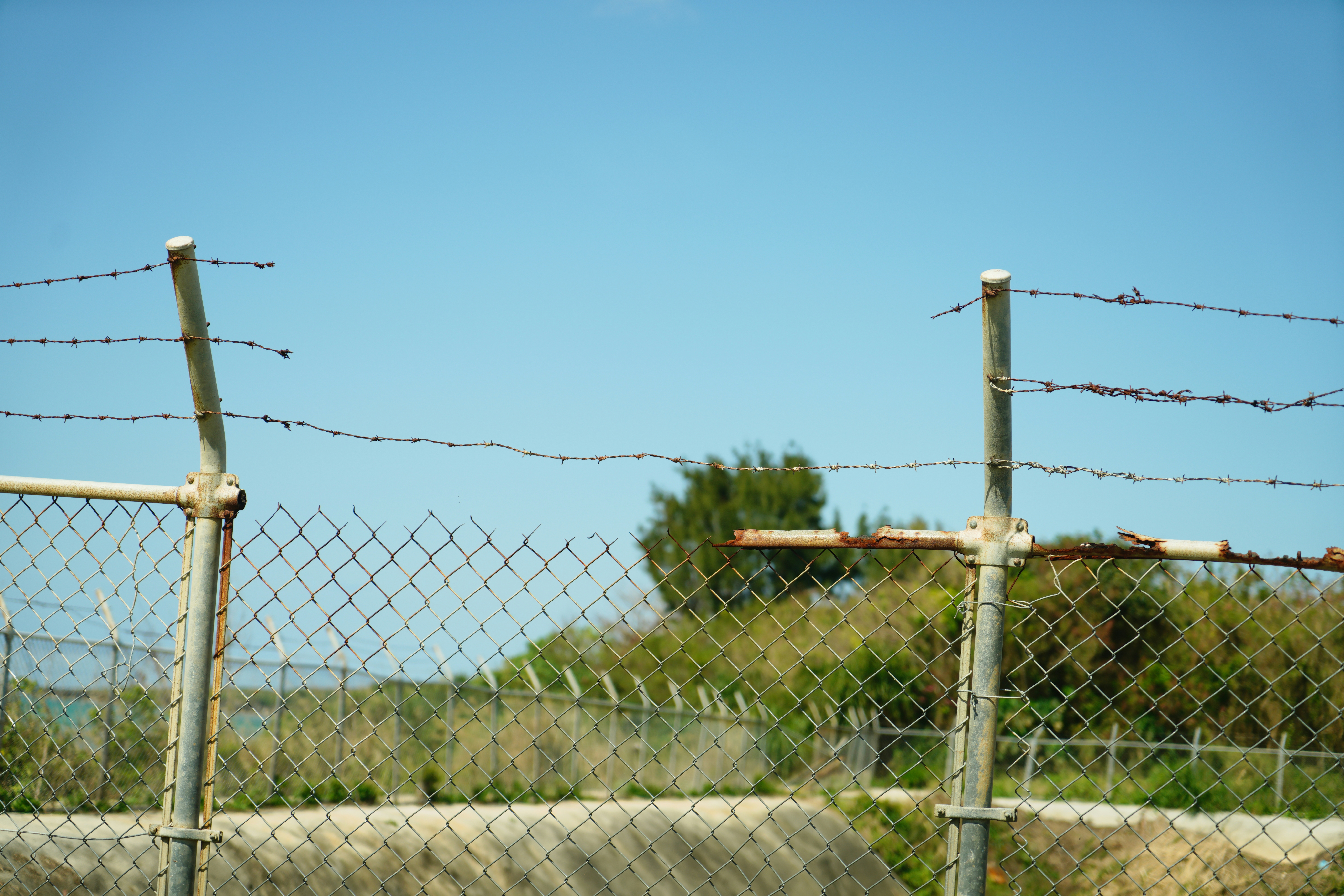 2026-03-rediscover-the-everyday-cover-image