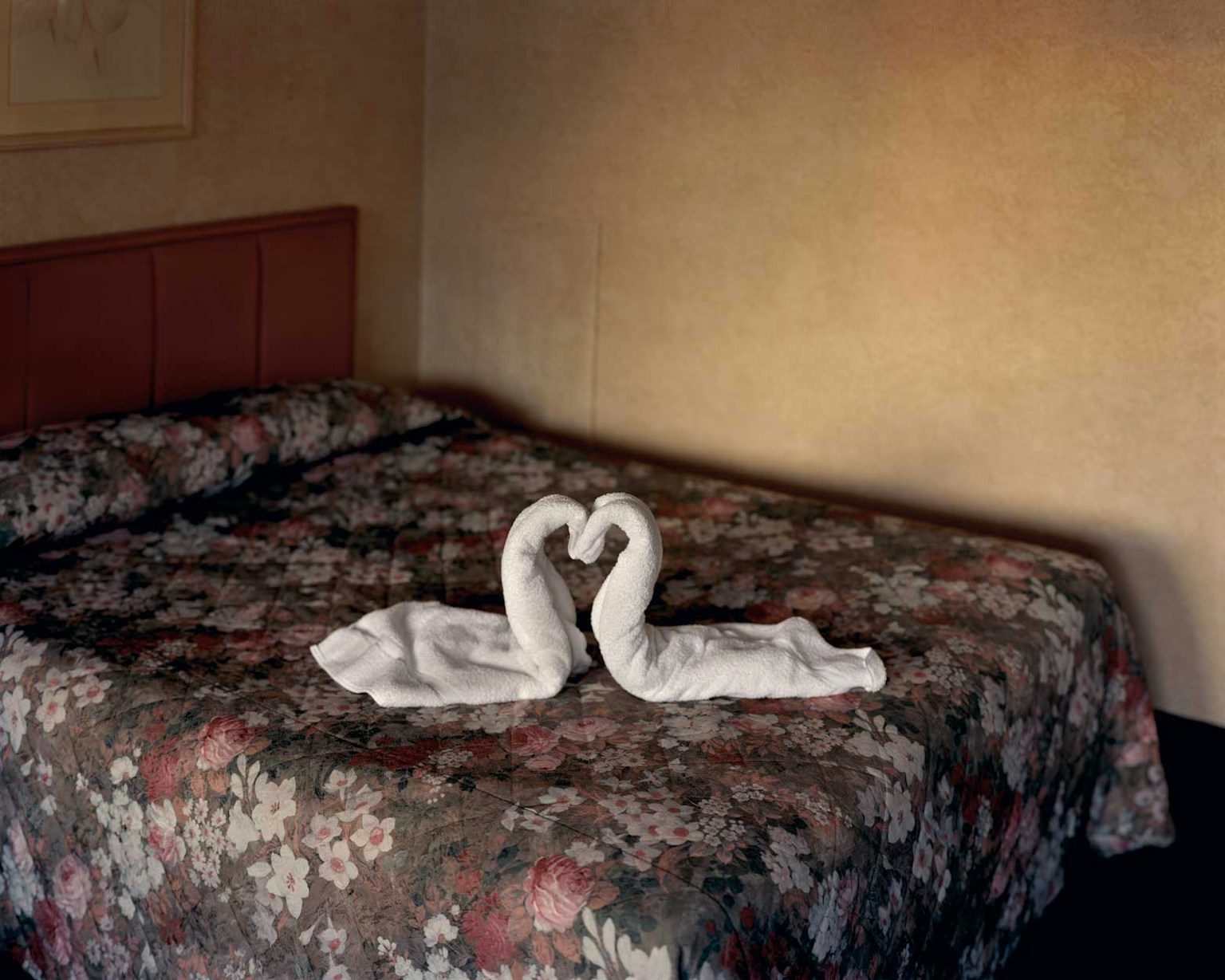2024-09-alec-soth-image-7