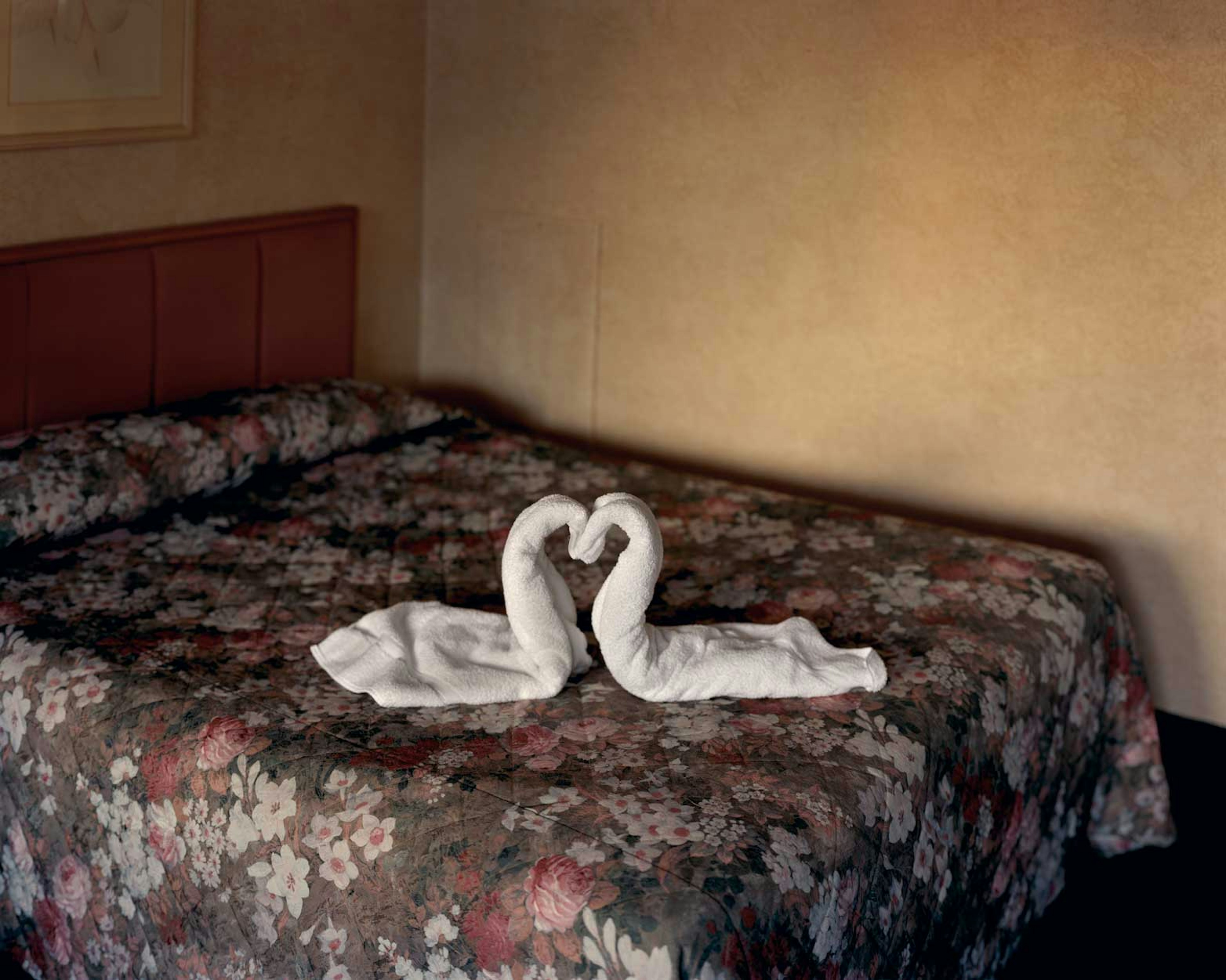 2024-09-alec-soth-image-7