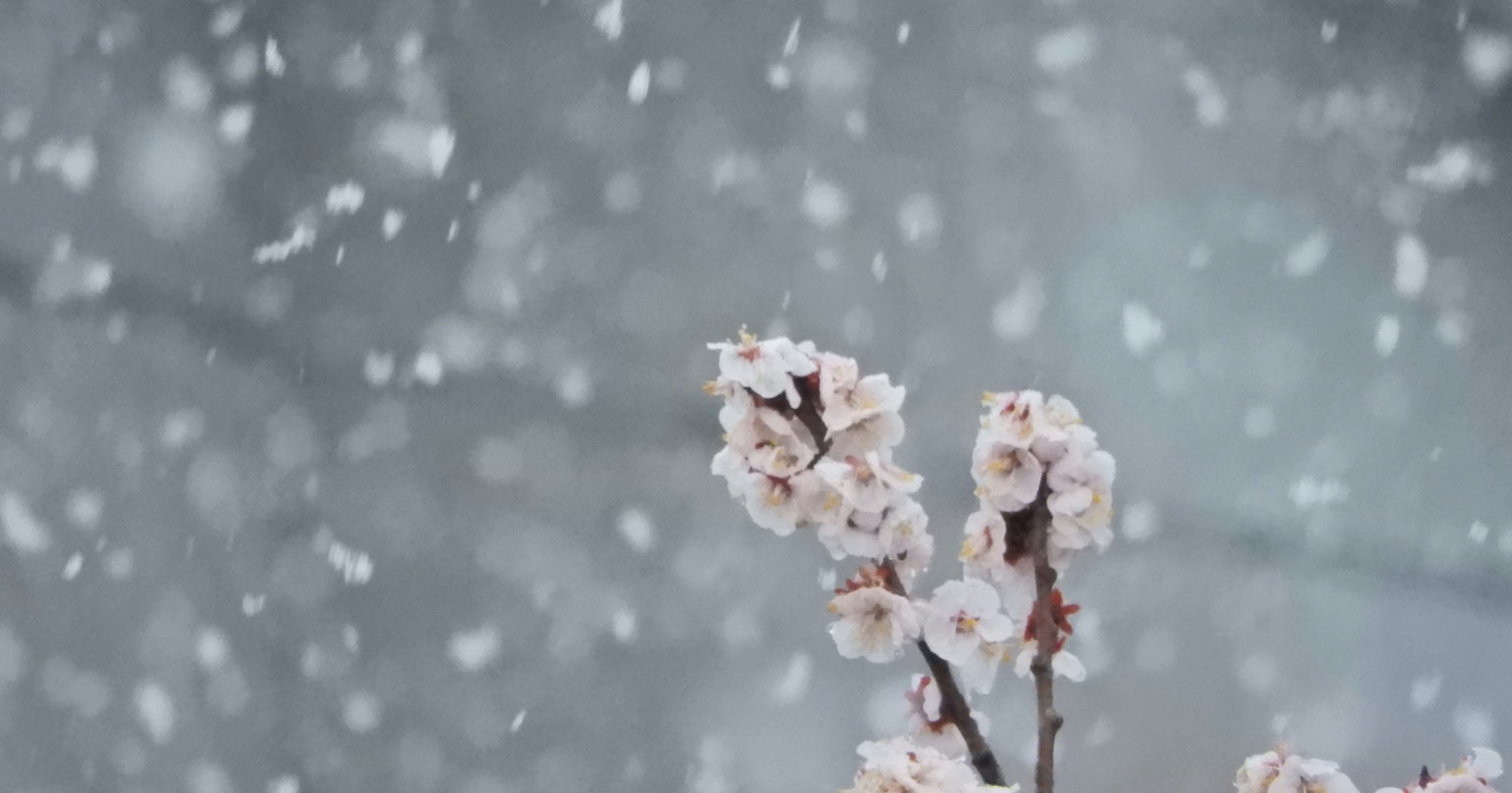 2025-03-photo-contest-pr-2-cover-image