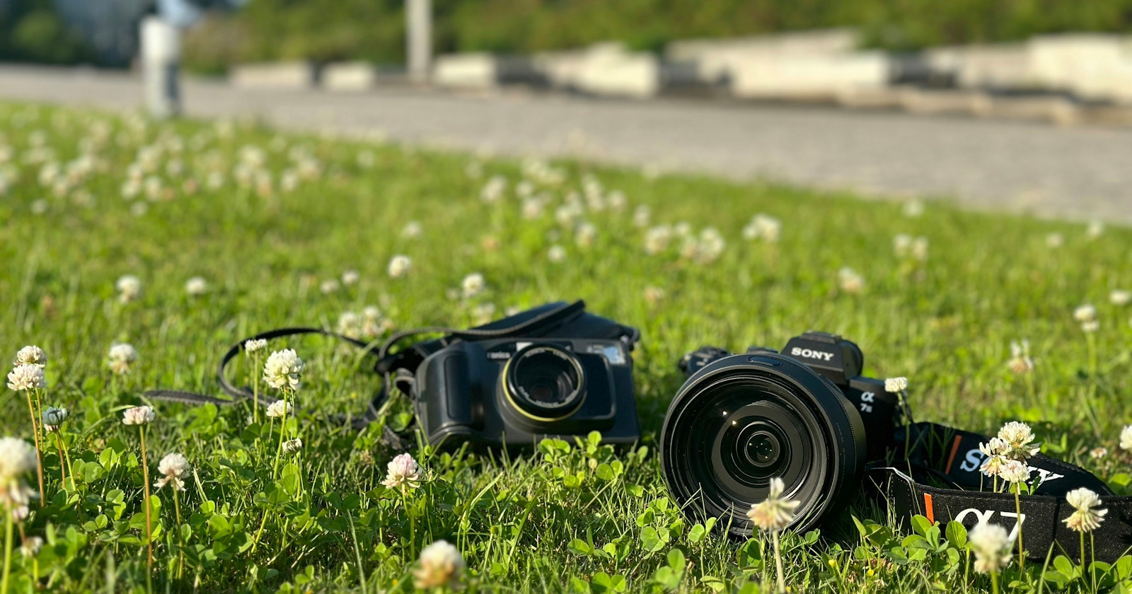 Différences et choix entre appareils photo sans miroir et reflex | Knowledge #80