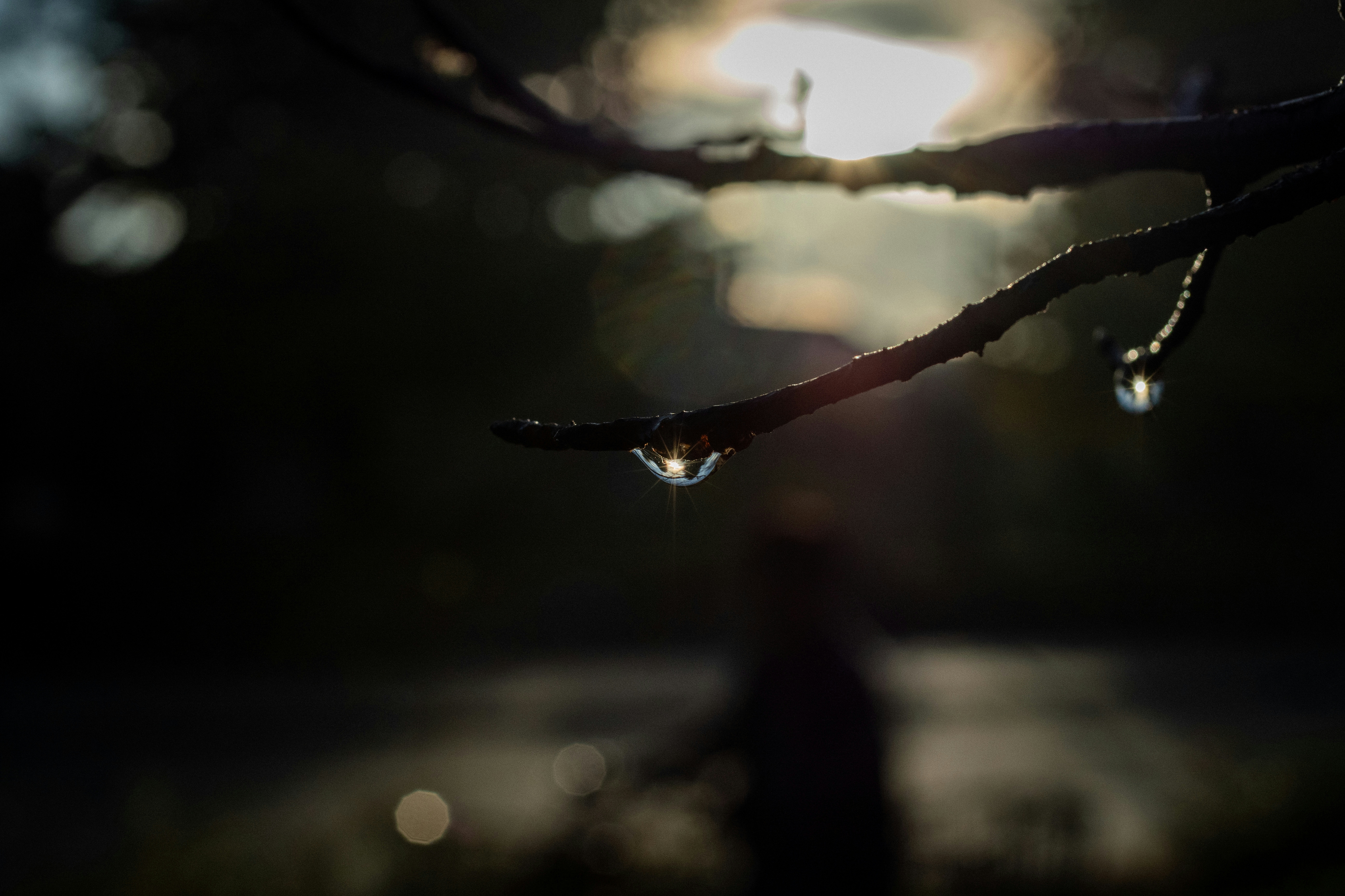 2026-08-photographing-the-city-after-rain-cover-image