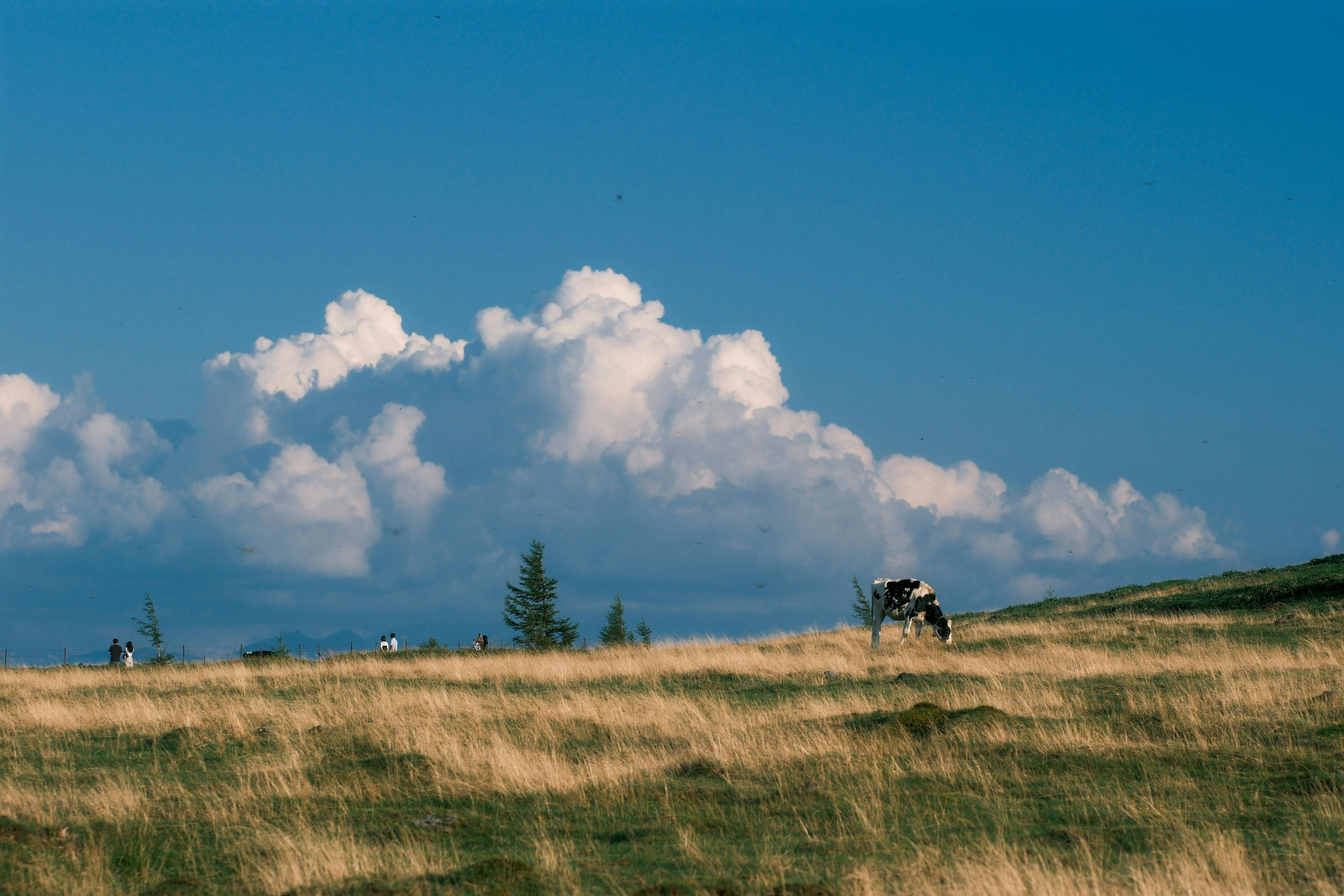 Photo by kazkaz