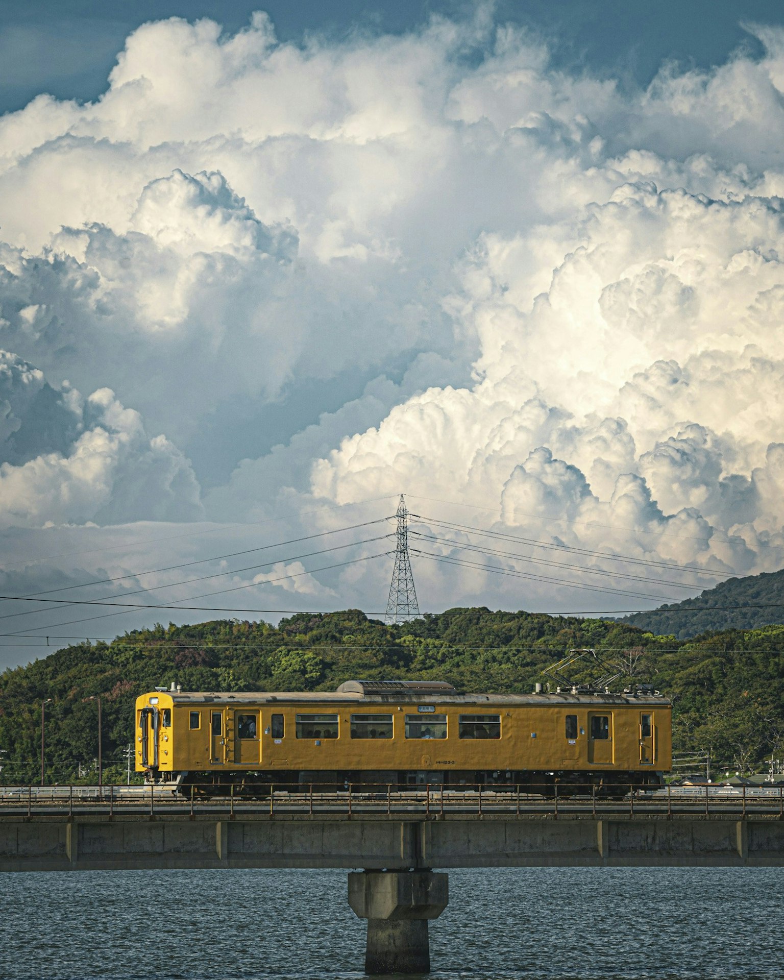 2024-09-summer-report-image-9