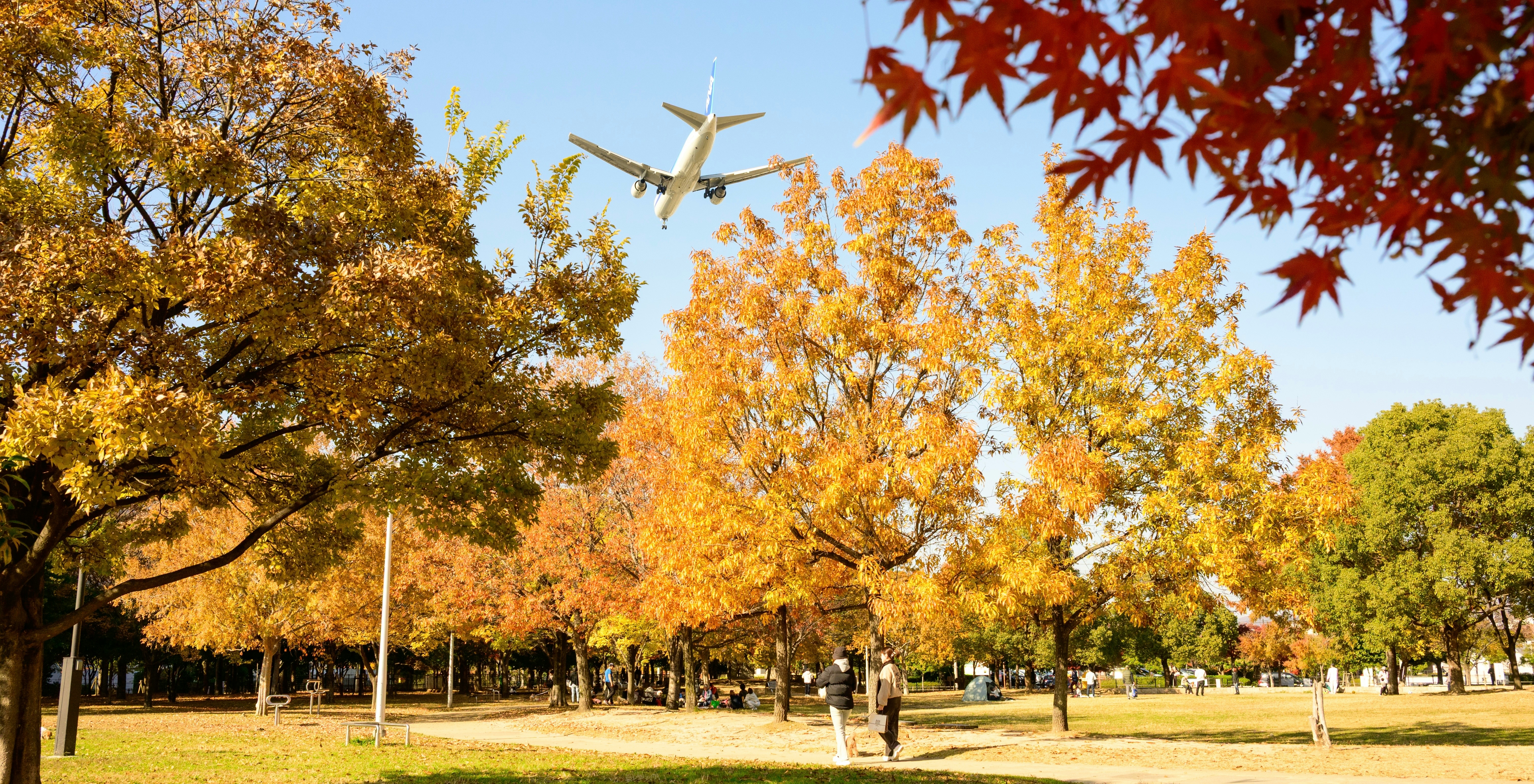 2025-12-versatile-neutral-essential-cover-image