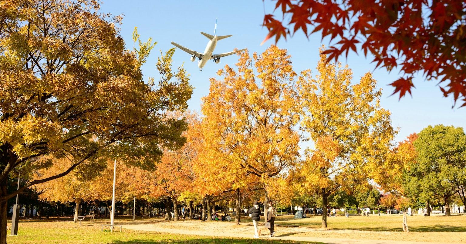 2025-12-versatile-neutral-essential-cover-image