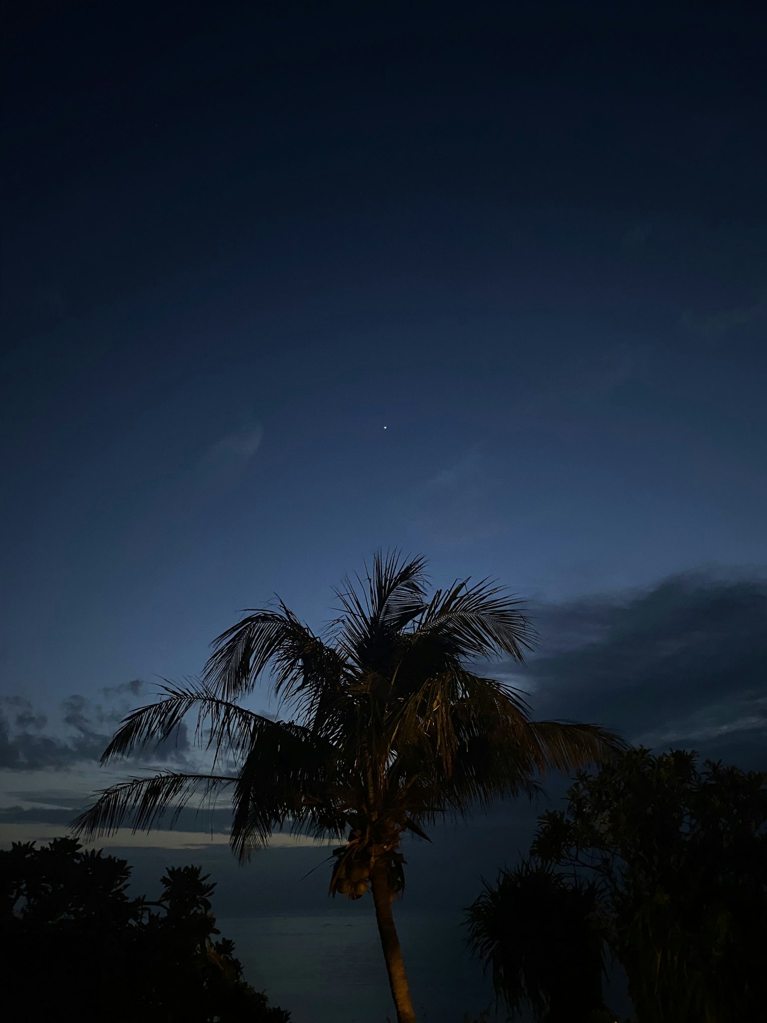 2024-03-okinawa-image-24