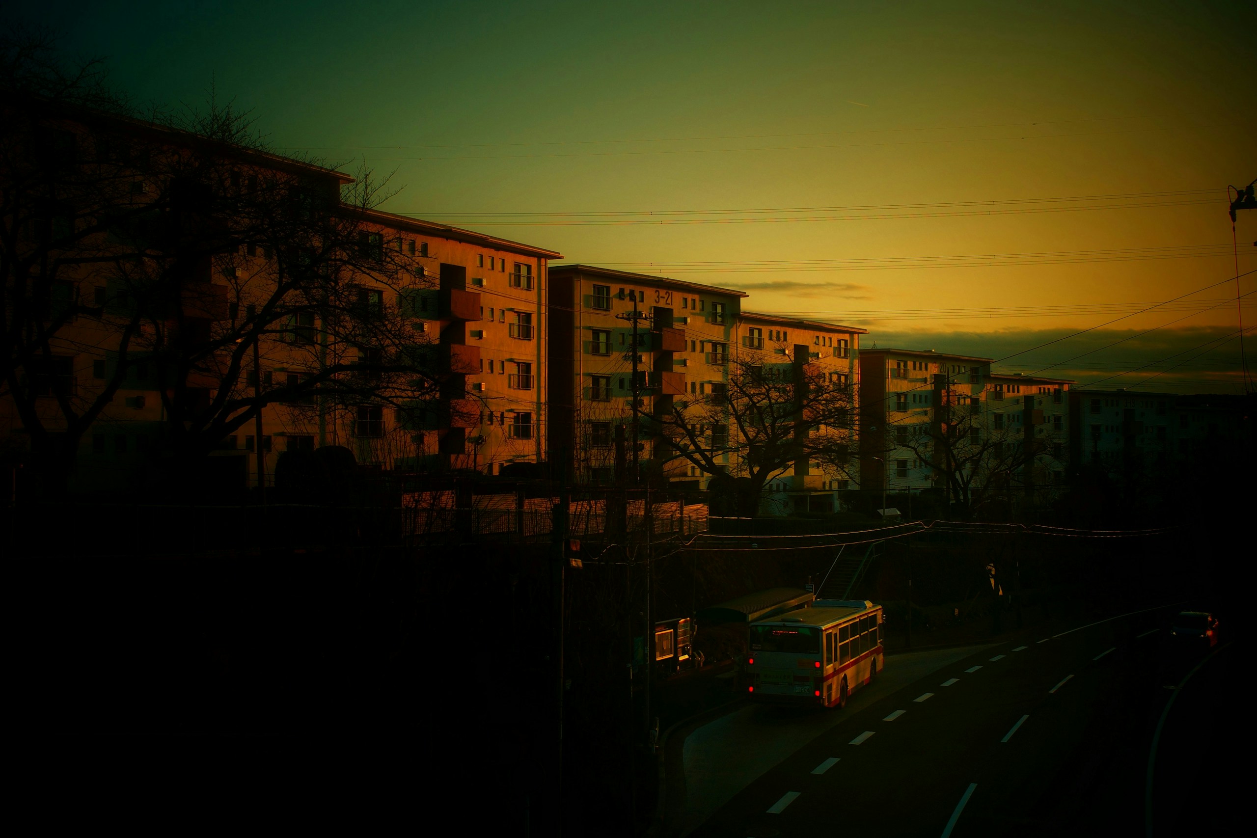 Foto por mifuu70_