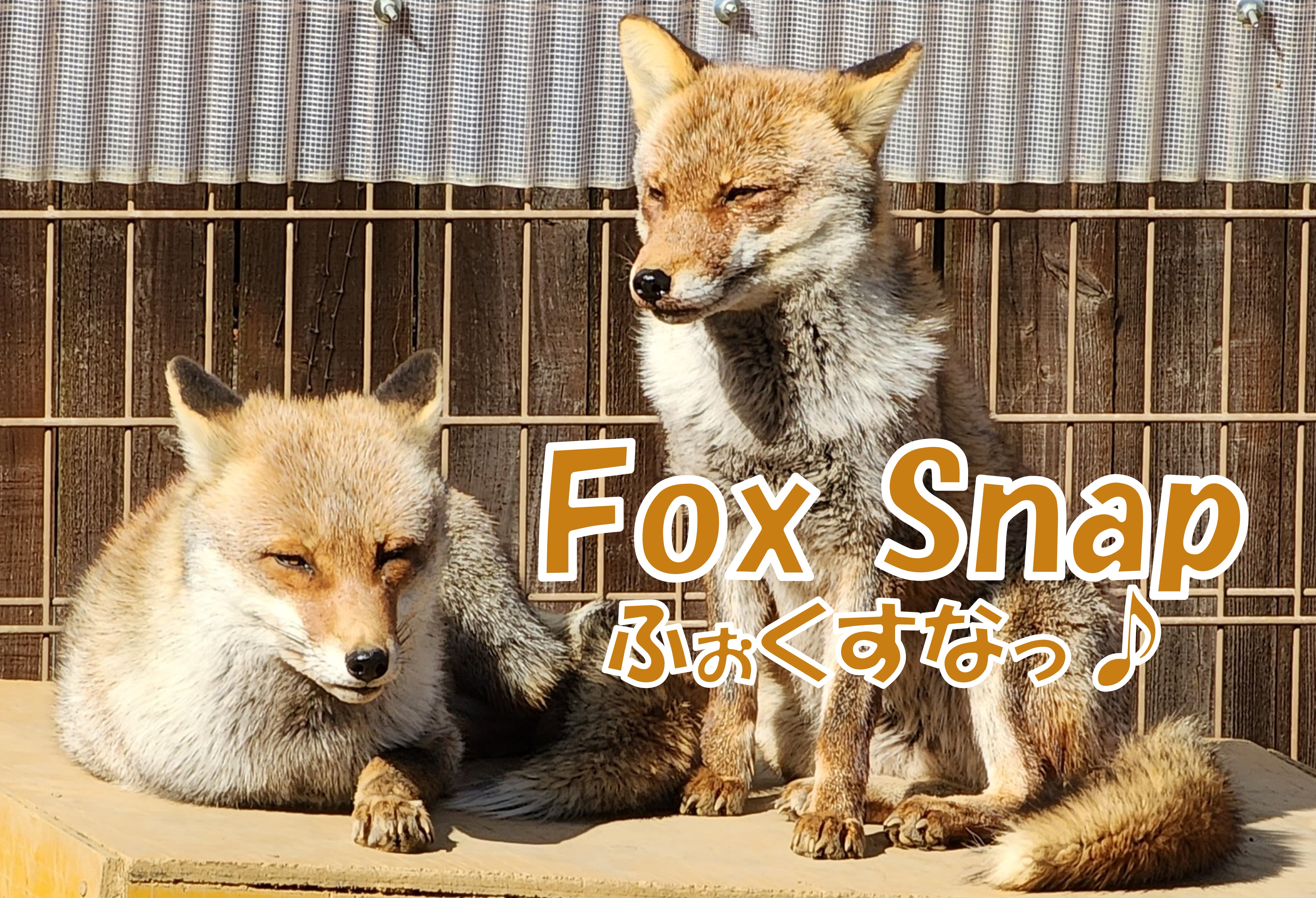 【テスト】ああああああああああいいいいいいいいいいううううううううううええええええええええおおおおおおおおおおかかかかかかかかかかききききききききききくくくくくくくくくくけけけけけけけけけけここここここここここささささささささささししししししししししすすすすすすすすすすせせせせせせせせせせそそそそそそそそそそたたたたたたたたたたちちちちちちちちちちつつつつつつつつつつててててててててててとととととととととと