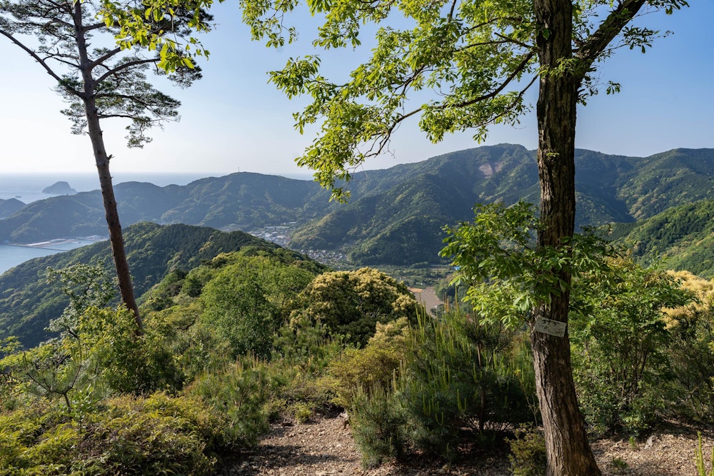 <p>登りながら、何度も振り返ってしまう。山と海が複雑に入り組んだ地形が面白い。</p>