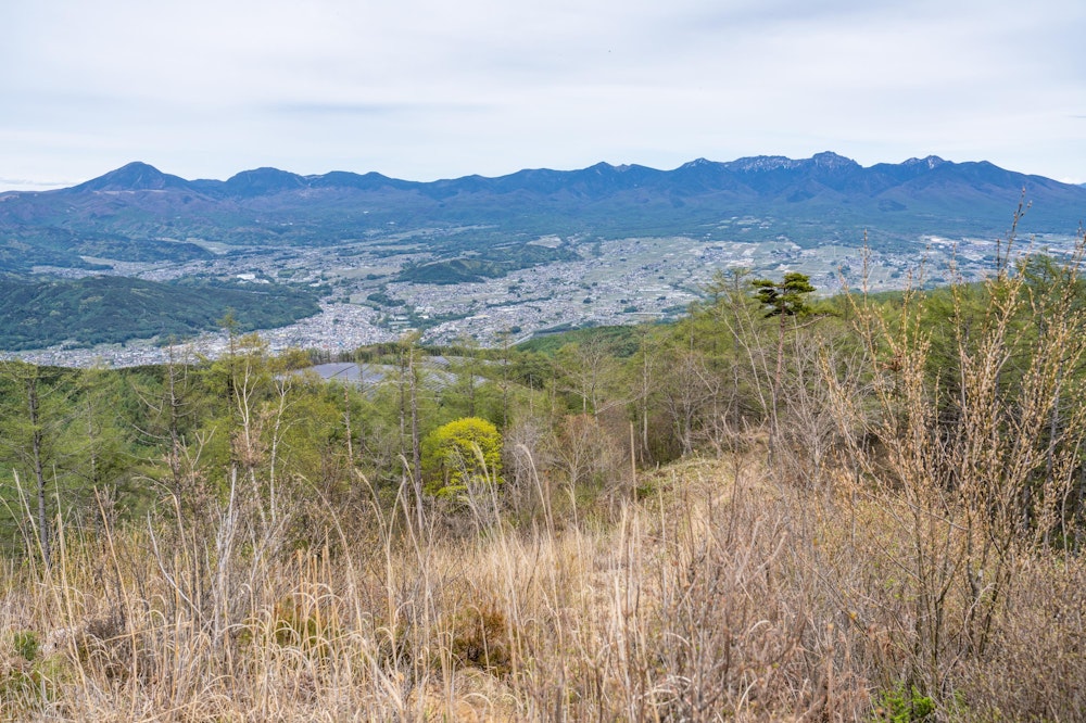 <p>頂上からは、八ヶ岳のパノラマが広がる。手前は八ヶ岳連峰西麓の高原地帯。<br>曇ってきてしまったが、午後遅く人もまばらで静かな登山を楽しむことができた。</p>