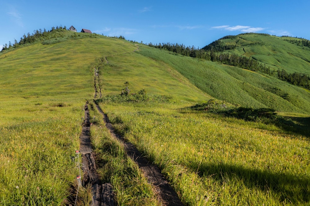 <p>樹林帯を抜けると、開放的な稜線歩きが始まる。<br></p>