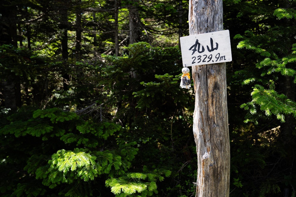 <p>通過点の丸山。いい表情のてるてる坊主に癒される。<br>おかげさまでとてもよく晴れて最高の登山日和でした。</p>