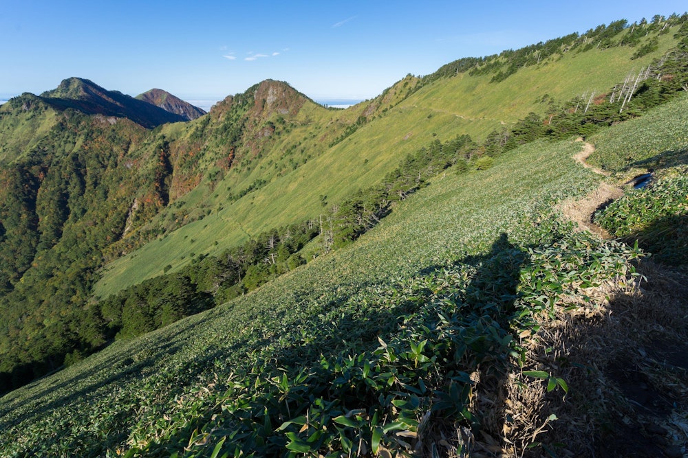 <p>弥山〜天狗岳周辺は人が増えてきたので、ニノ森を往復する。<br>こちらは人も少なく、とても静かな縦走路となっていた。</p>