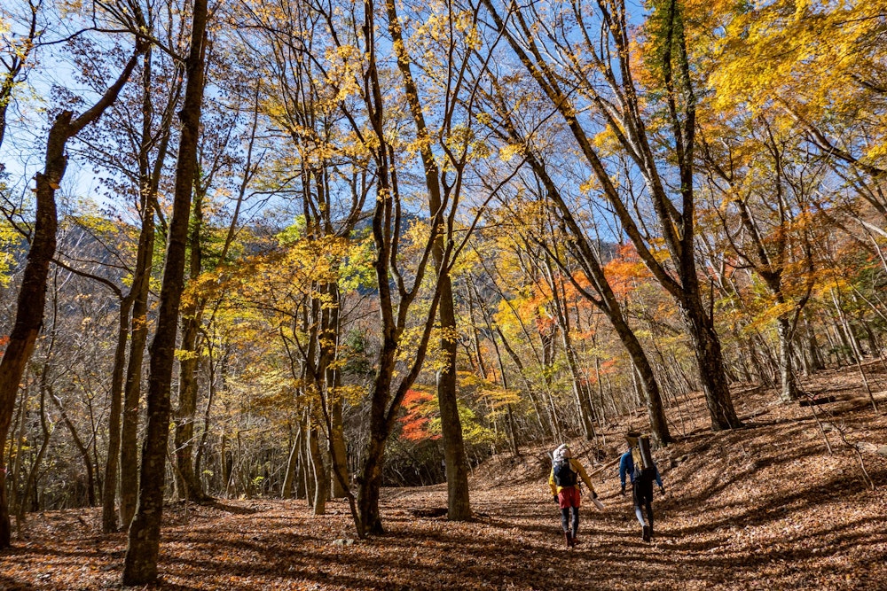 <p>季節もベストで、湖畔エリアは紅葉の最盛期だった。</p>
