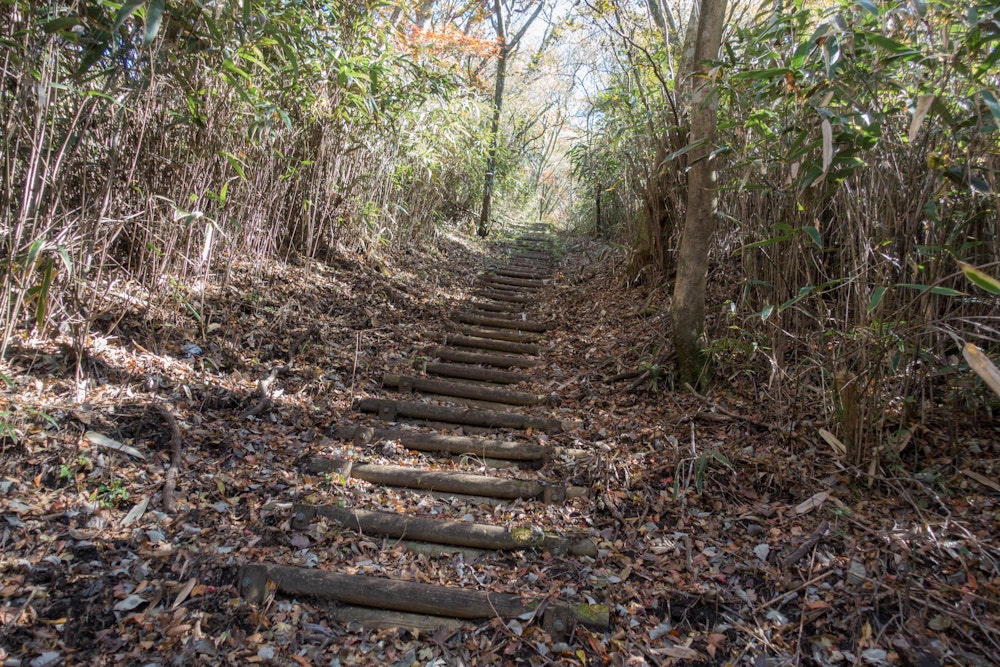 <p>超長い階段なんかもある。<br>外輪山は遠くから見ると平らに見えるが、実際に歩いてみると案外激しいアップダウンに苦しめられる。</p>