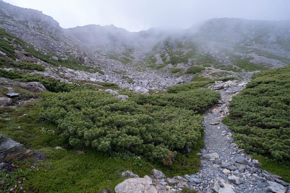 <p>夕方になり、霧に巻かれながらも赤石岳直下まで来た。<br>あと一息だ。</p>