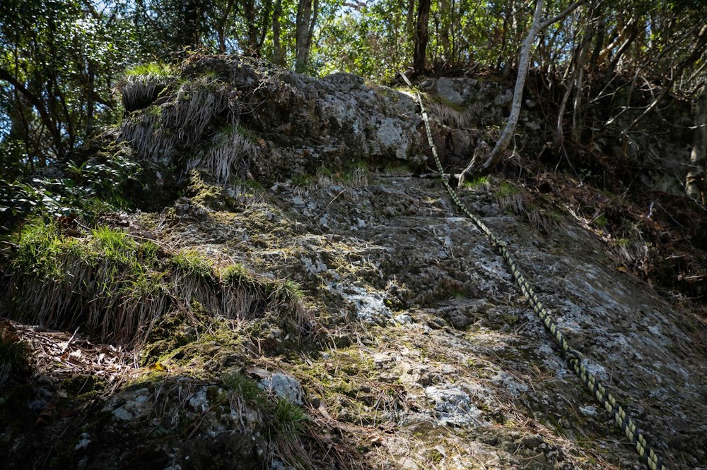 <p>そして 2 日間最後の山は雁俣山。ここだけはこれまでの山と一転して細尾根・岩稜のシビアな道が続いた。</p>