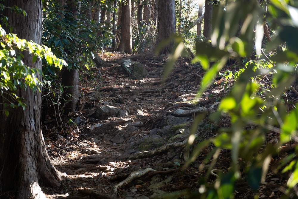 <p>満観峰の山頂を去って、ここから朝鮮岩方面の下山路を進む。</p>