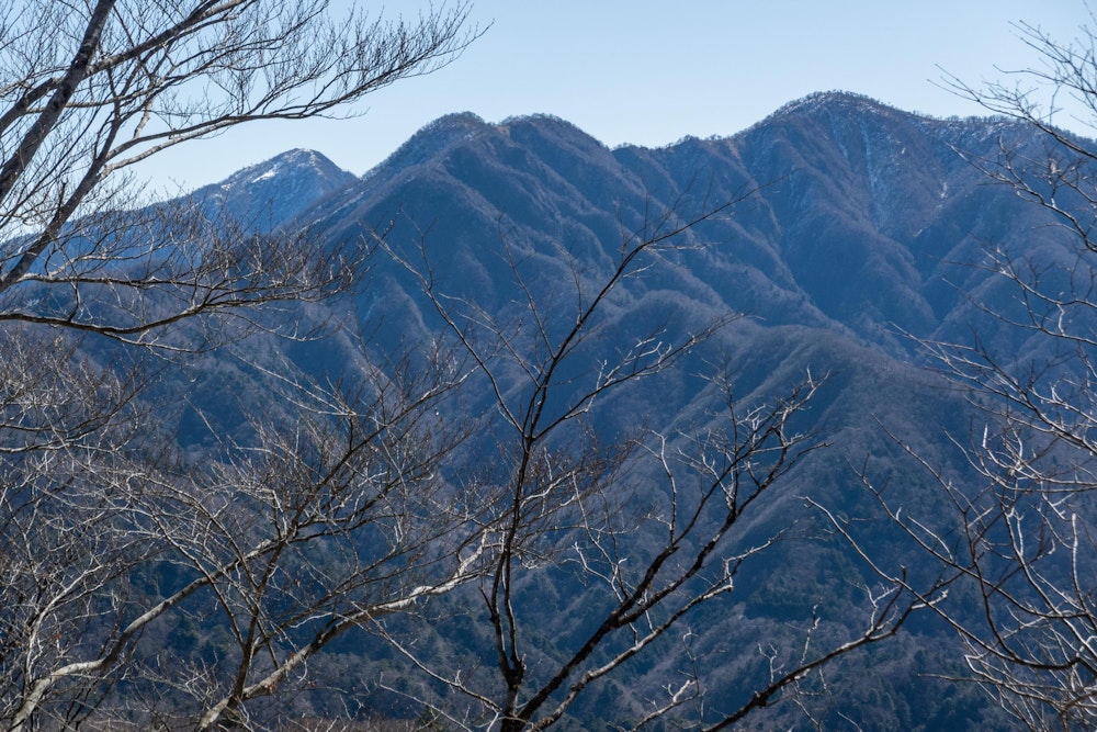 <p>畦ヶ丸から加入道山へ向かう途中で見えた、檜洞丸方面。<br>ジグザグで険しそうな山稜と、左奥に雪を多めに被った山はおそらく蛭ヶ岳。</p>