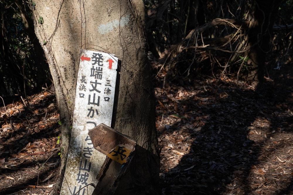 <p>長浜口からのルートはやや急登で同行者がキツそうな様子だったので、下山は少し距離が伸びる分だけ斜度はゆるやかになっていそうな三津口方面を選ぶ。</p>