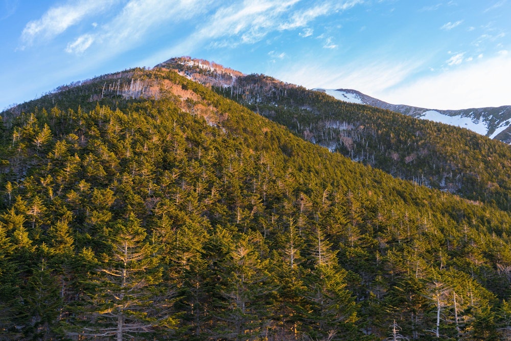 <p>三日目。聖平小屋の冬季小屋で一晩を過ごした。<br>この日は茶臼岳に寄り道しながら来た道を戻って下山する。</p>