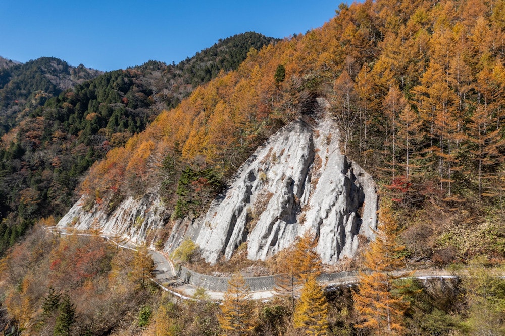 <p>こんな感じの山肌を這うように付けられた林道を歩きながら、お腹いっぱいになるまで紅葉を楽しんで、周回コースを描くようにして神坂峠に戻っていった。</p>