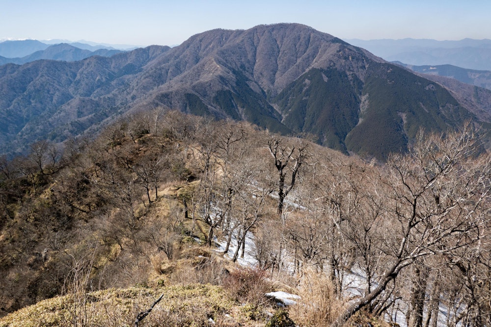 <p>犬越路から随分と標高を上げてきた。振り返ると大室山。</p>