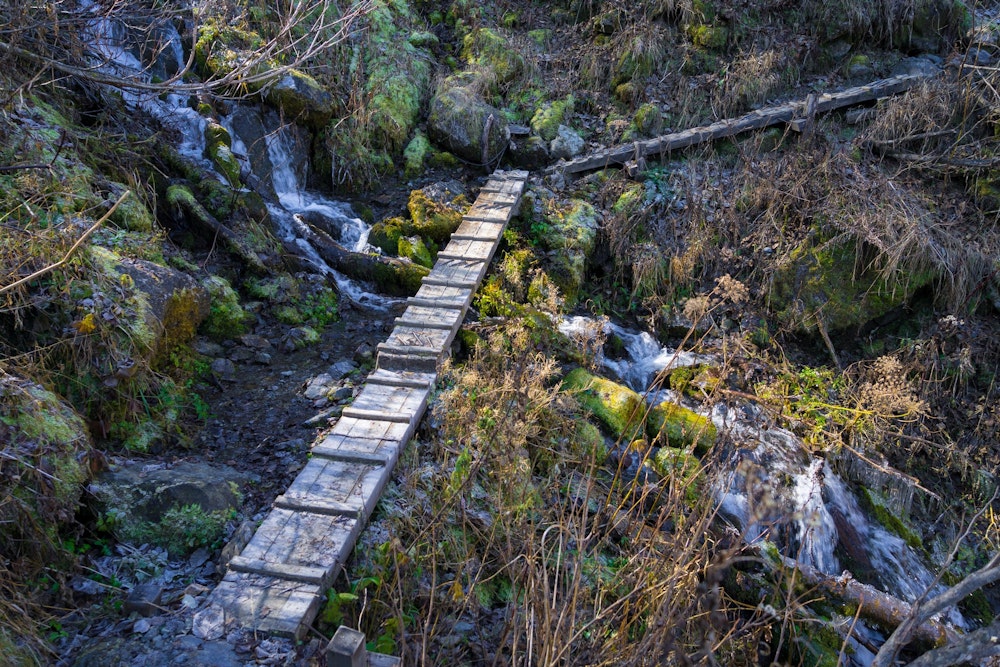 <p>なんてことないように見える木道も、表面に薄く氷が張っており油断すると簡単に転んでしまう。</p>