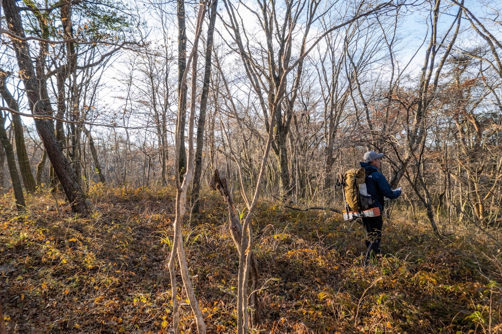 <p>体力勝負だった 1 日目と一転して、2 日目は工夫の余地が無限にある冒険フィールド。<br>樹海の中を縦横無尽に駆け巡る、まさに OMM の醍醐味を詰め込んだようなマップだった。</p>