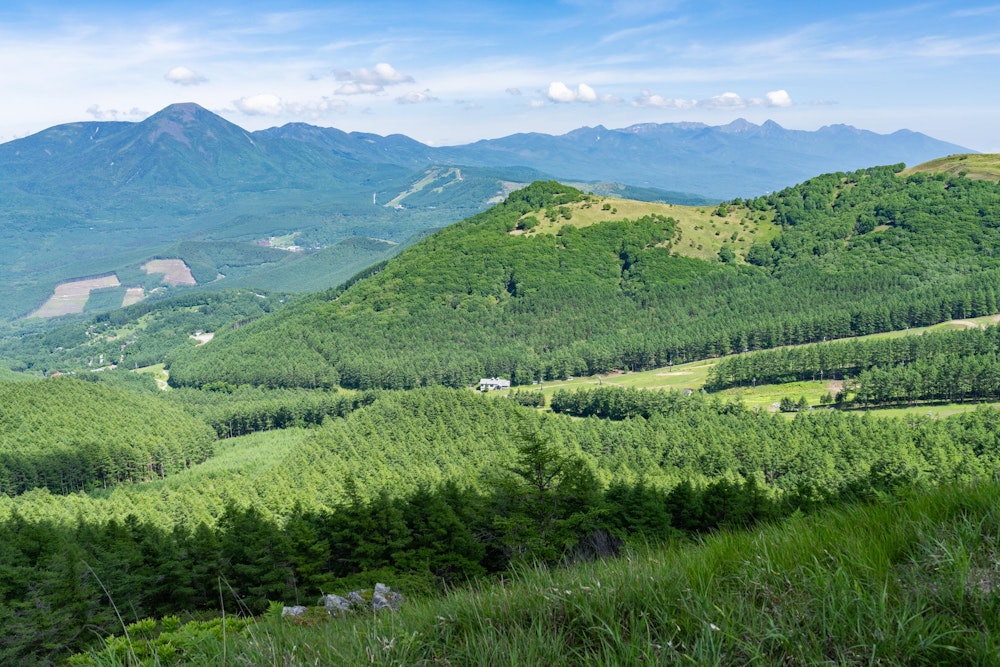 <p>八ヶ岳連峰を望む。やや北寄りから見ているので、左側の蓼科山をはじめとした北八ヶ岳が大きく見える。</p>