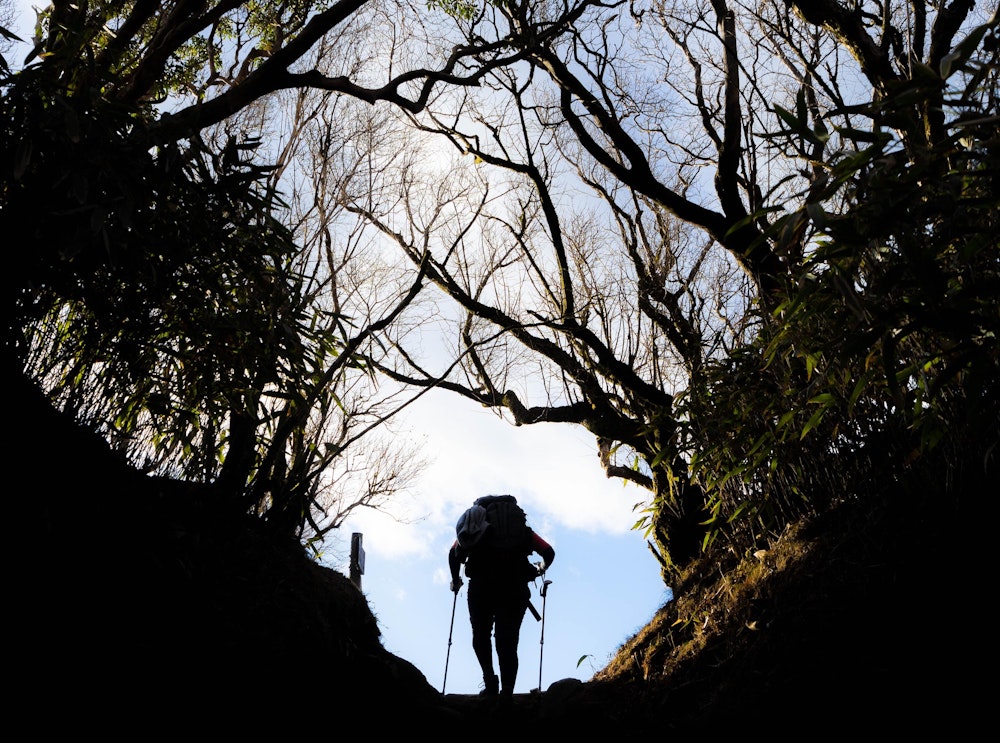 <p>金時山の頂上直下は激しい急登を登ることになる。<br>木々のトンネルを抜けた先が山頂だ。</p>