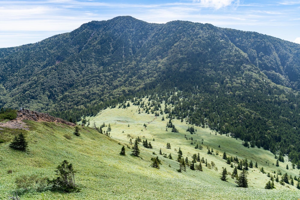 <p>根子岳と四阿山の間のここが素晴らしい場所だった。<br>この一帯だけ木が生えていないのは、火山性の地質の影響だろうか。</p>