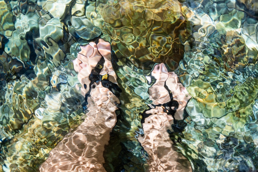 <p>30℃を超える真夏の陽気の中、よく冷えた川に足元だけでも入るだけで全身が涼しい。<br>こんなにも綺麗な川に遊びに来れる四国の人たちが羨ましく思えた。</p>