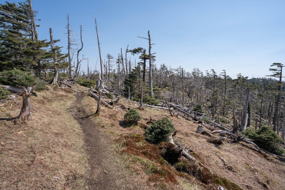 <p>八経ヶ岳を過ぎれば再びそこは静寂の世界。途端に人がいなくなる。</p>