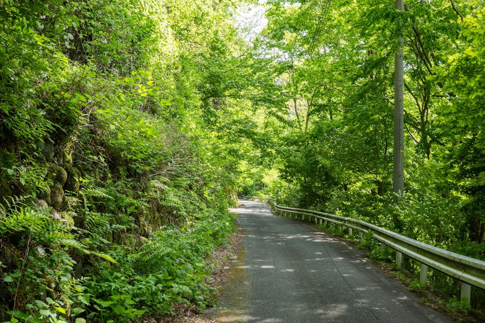 <p>今回は、スタート地点までロードを走って戻る。28km 程度の道のり。<br>先日の南伊豆歩道で酷使した足の疲労が残っていたためか、このロード区間で左足を故障してしまった。</p>