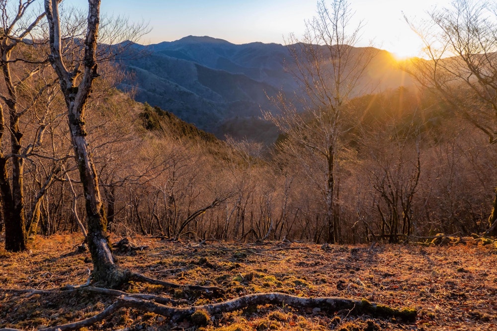 <p>清々しい朝の日差しで山の空気が入れ替わる。</p>