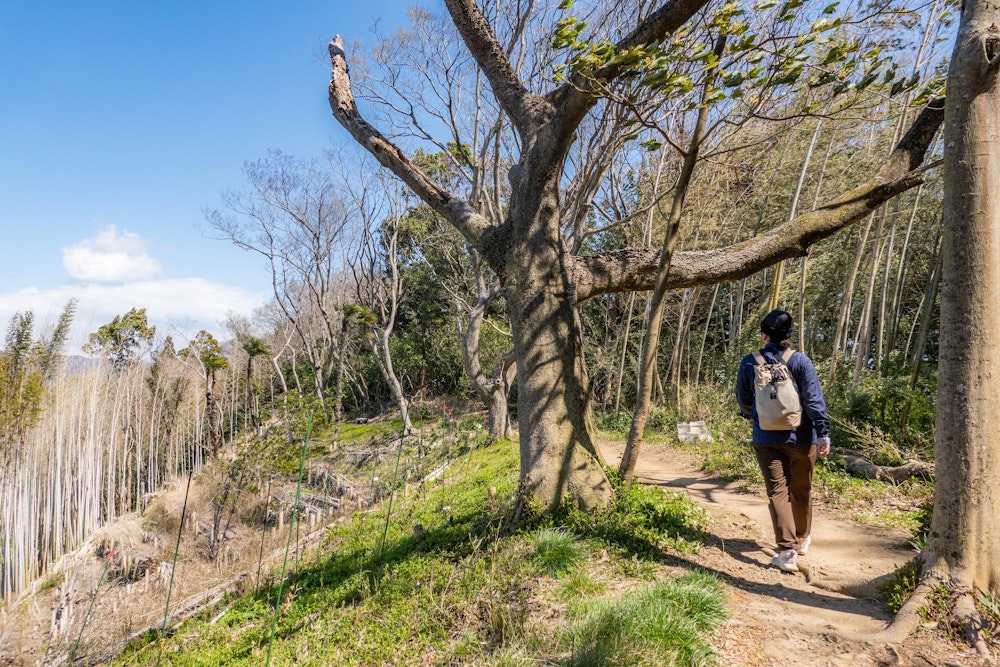 <p>最初は階段や整備された遊歩道を歩き、しばらく行くと市有地の畑の間を縫うようにして付けられたトレイルを辿っていく。<br>この日は風が強かったが、よく晴れていて気持ちがいい。</p>