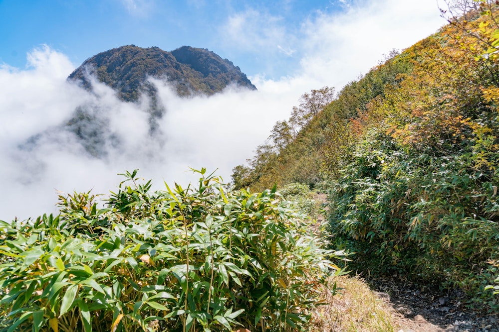 <p>雲が高く上がってきて、妙高山が島のようになっている。</p>